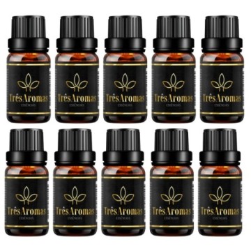 Kit Com 10 Un. Óleo...